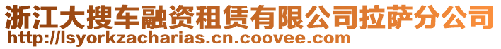 浙江大搜車融資租賃有限公司拉薩分公司