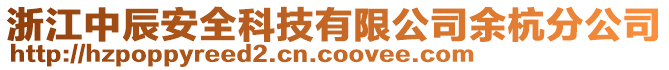 浙江中辰安全科技有限公司余杭分公司