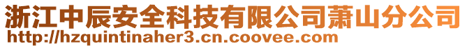 浙江中辰安全科技有限公司蕭山分公司