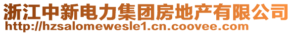 浙江中新電力集團(tuán)房地產(chǎn)有限公司