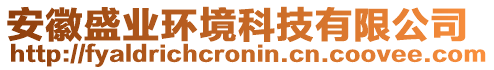 安徽盛業(yè)環(huán)境科技有限公司