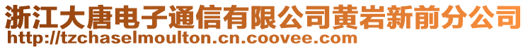 浙江大唐電子通信有限公司黃巖新前分公司