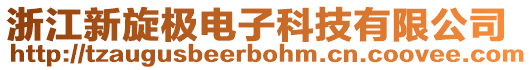 浙江新旋極電子科技有限公司