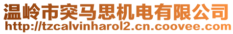 溫嶺市突馬思機(jī)電有限公司