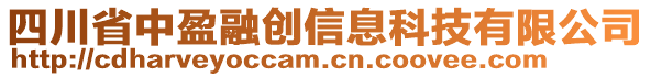 四川省中盈融創(chuàng)信息科技有限公司