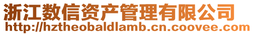 浙江數(shù)信資產(chǎn)管理有限公司