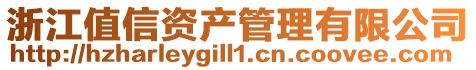 浙江值信資產(chǎn)管理有限公司