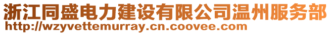 浙江同盛電力建設(shè)有限公司溫州服務(wù)部