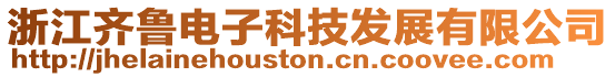 浙江齊魯電子科技發(fā)展有限公司