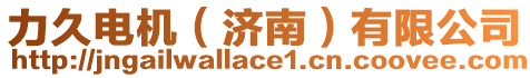 力久電機(jī)（濟(jì)南）有限公司