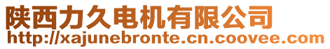 陜西力久電機有限公司