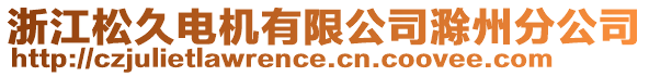 浙江松久電機有限公司滁州分公司