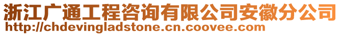 浙江廣通工程咨詢有限公司安徽分公司