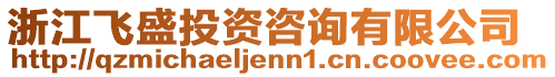 浙江飛盛投資咨詢有限公司