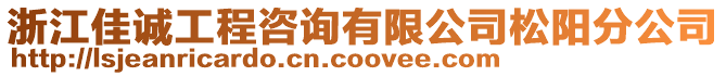 浙江佳誠工程咨詢有限公司松陽分公司