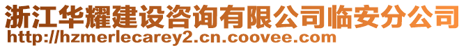 浙江華耀建設咨詢有限公司臨安分公司