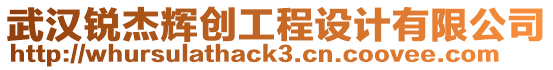 武漢銳杰輝創工程設計有限公司