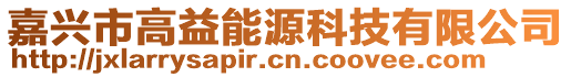 嘉興市高益能源科技有限公司