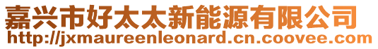 嘉興市好太太新能源有限公司