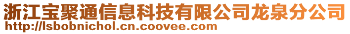 浙江寶聚通信息科技有限公司龍泉分公司