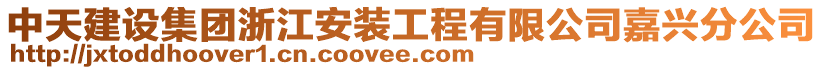 中天建設(shè)集團(tuán)浙江安裝工程有限公司嘉興分公司