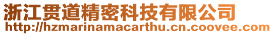 浙江貫道精密科技有限公司