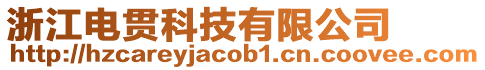 浙江電貫科技有限公司