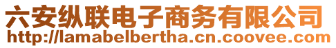 六安縱聯(lián)電子商務(wù)有限公司