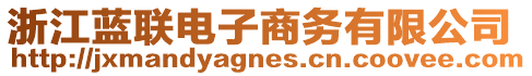 浙江藍(lán)聯(lián)電子商務(wù)有限公司