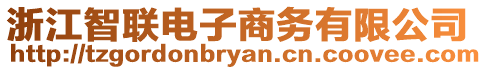 浙江智聯(lián)電子商務(wù)有限公司