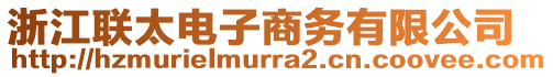 浙江聯(lián)太電子商務(wù)有限公司