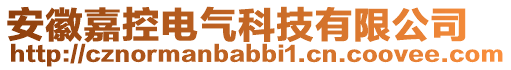 安徽嘉控電氣科技有限公司