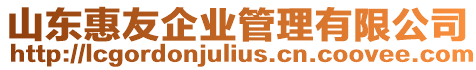 山東惠友企業管理有限公司