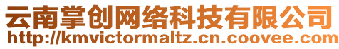 云南掌創(chuàng)網(wǎng)絡(luò)科技有限公司