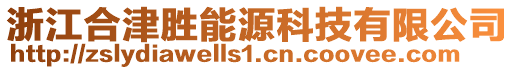 浙江合津勝能源科技有限公司