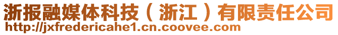 浙報融媒體科技（浙江）有限責任公司