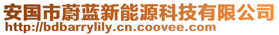 安國市蔚藍(lán)新能源科技有限公司