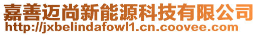 嘉善邁尚新能源科技有限公司