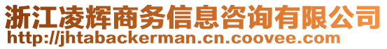 浙江凌輝商務(wù)信息咨詢有限公司