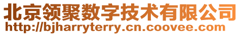 北京領(lǐng)聚數(shù)字技術(shù)有限公司