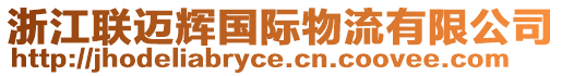 浙江聯(lián)邁輝國(guó)際物流有限公司