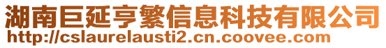 湖南巨延亨繁信息科技有限公司