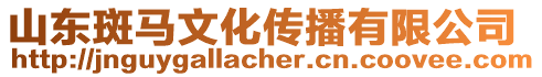山東斑馬文化傳播有限公司
