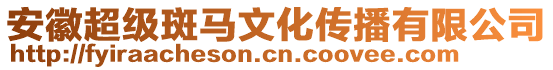 安徽超級(jí)斑馬文化傳播有限公司