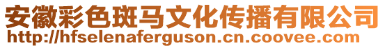 安徽彩色斑馬文化傳播有限公司