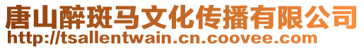 唐山醉斑馬文化傳播有限公司