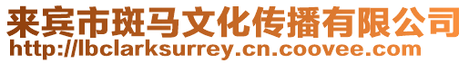 來賓市斑馬文化傳播有限公司