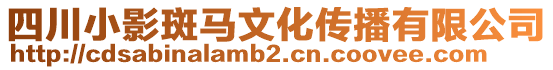 四川小影斑馬文化傳播有限公司