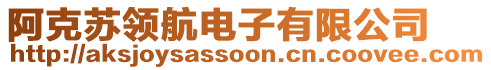 阿克蘇領(lǐng)航電子有限公司