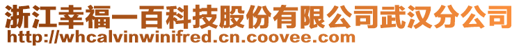 浙江幸福一百科技股份有限公司武漢分公司